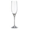 Pahare Sampanie Bohemia Sitta 240 ml