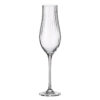 Pahare Sampanie Bohemia 200 ml Limosa Optic