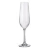 Pahare de Sampanie Bohemia Tyto 200 ml