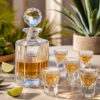Set 6 Pahare Aperitiv cu Decantor Cristal Bohemia Victoria